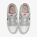 Dunk Low Light Iron Ore–Clássico